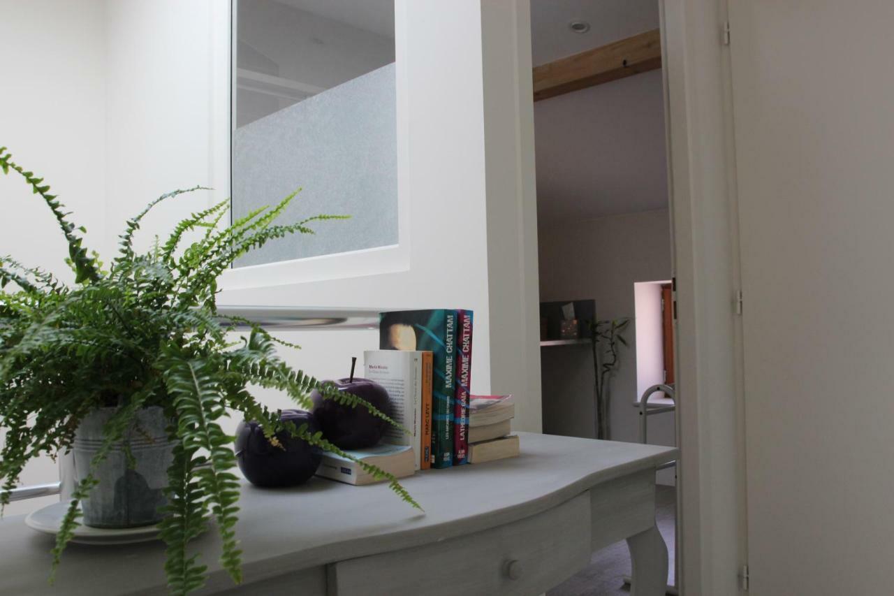 Grand Duplex Au Calme En Centre-Ville Villefranche-sur-Saone Luaran gambar