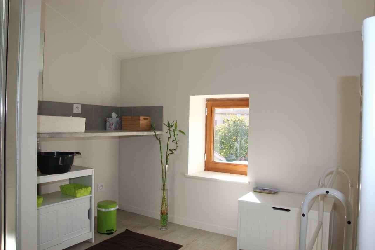 Grand Duplex Au Calme En Centre-Ville Villefranche-sur-Saone Luaran gambar