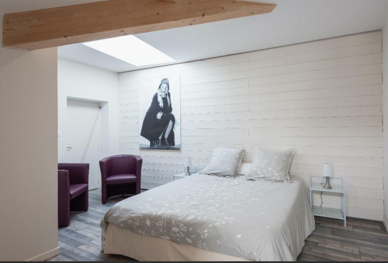 Grand Duplex Au Calme En Centre-Ville Villefranche-sur-Saone Luaran gambar